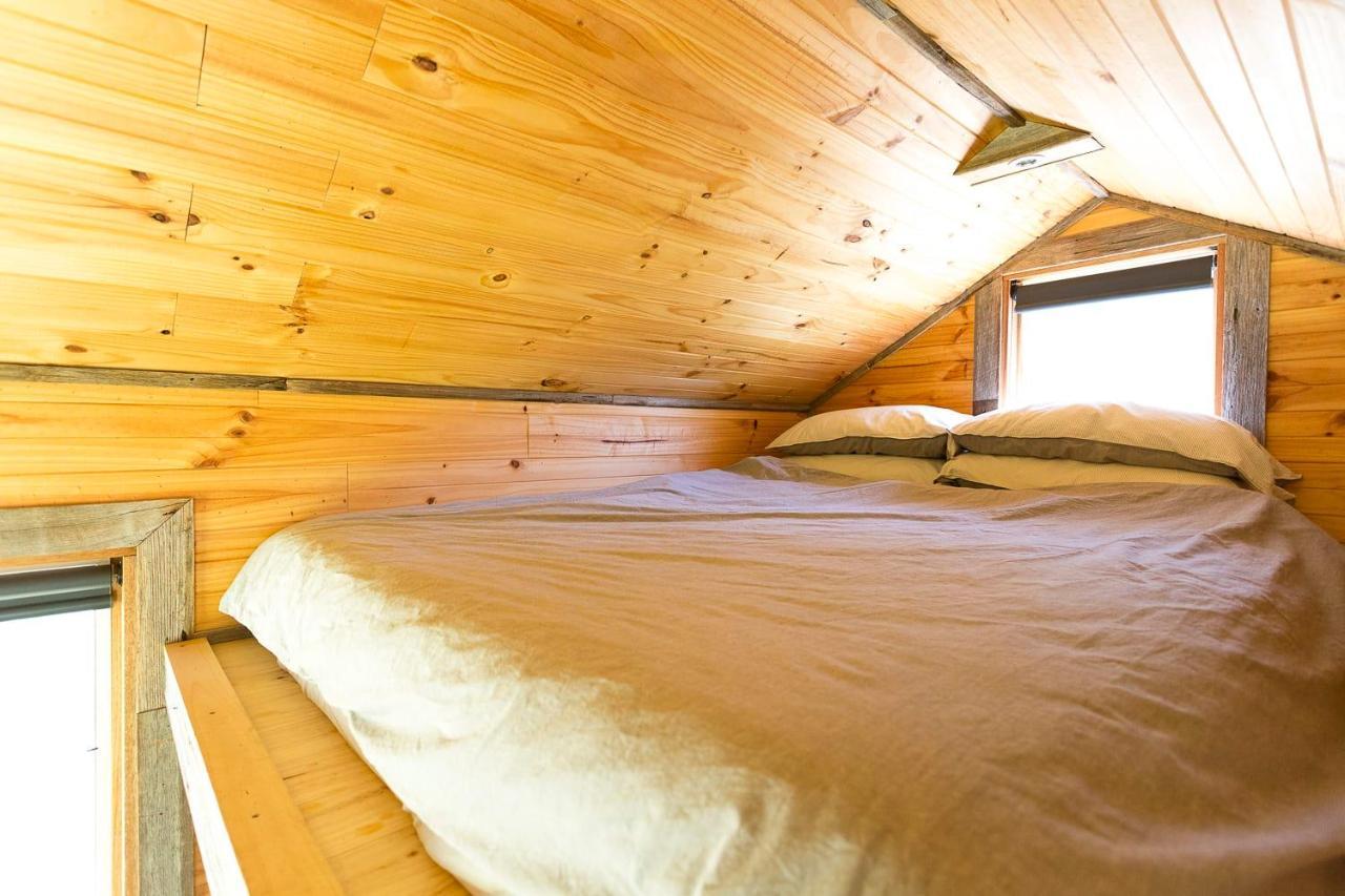 Ardingly Tiny House Villa Newham Dış mekan fotoğraf